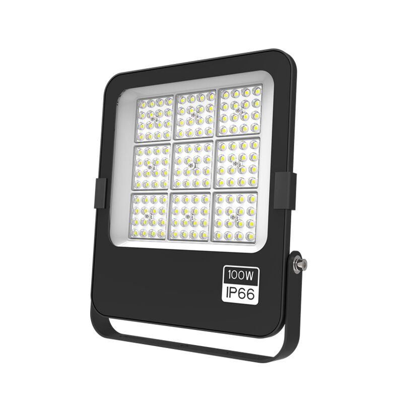 100W LED Flood Light IP66