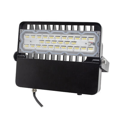 Lumière LED extérieure à haute efficacité 100W 48V CC